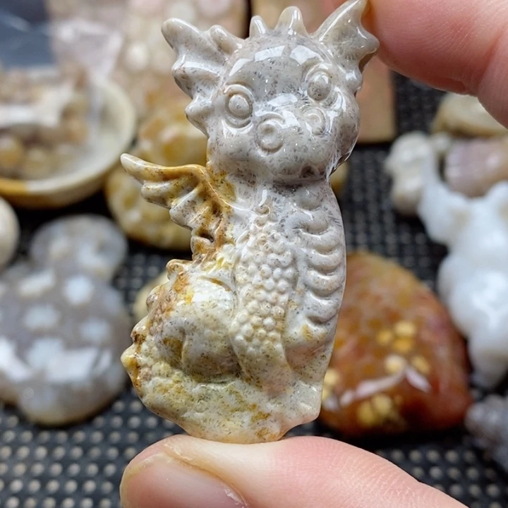 硅化珊瑚（珊瑚玉）颈饰未镶嵌