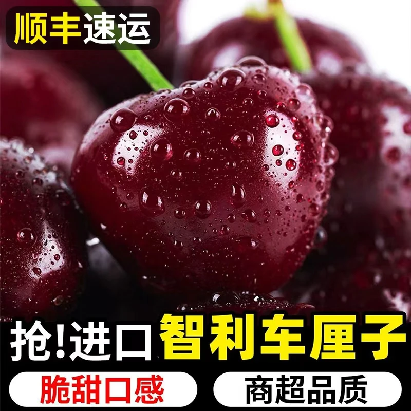 S3【顺丰速运】智利空运车厘子新鲜水果包邮XL-5J内附果径卡0.9-5斤