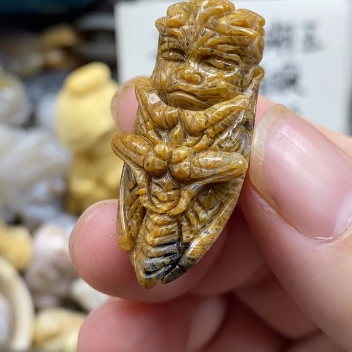 硅化珊瑚（珊瑚玉）未镶嵌颈饰