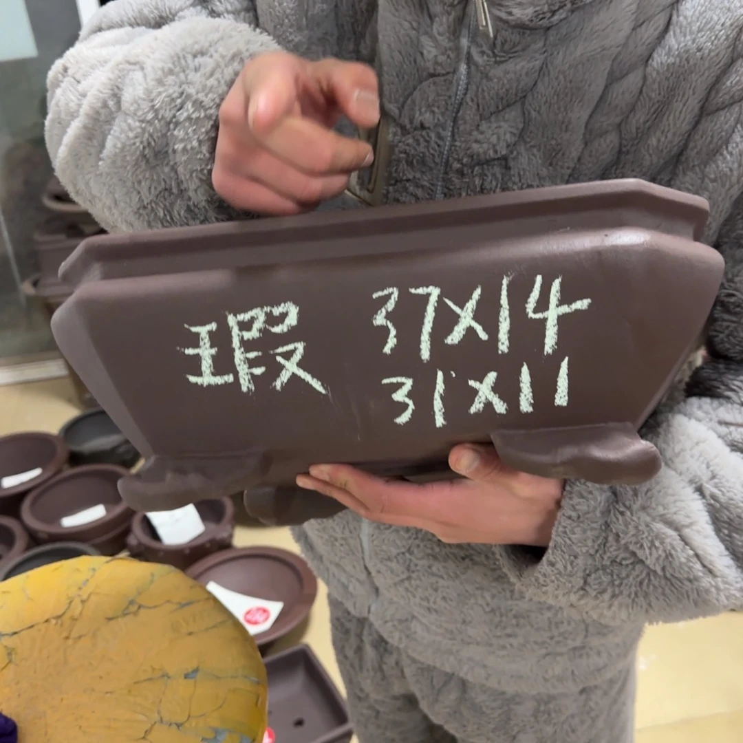 紫砂花盆呜呜呜呜