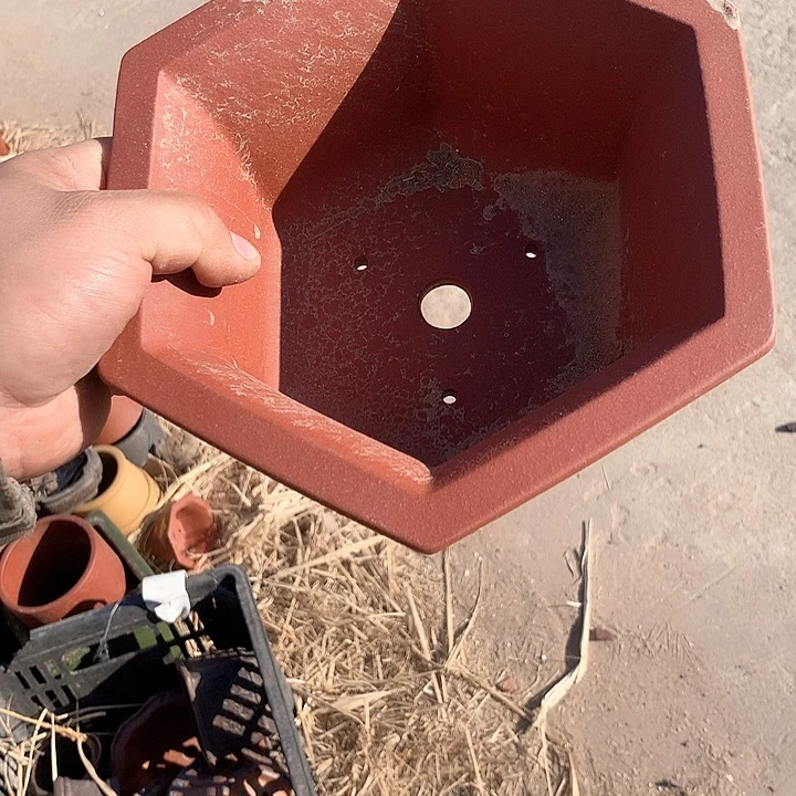 紫砂淘宝的时候都不一样