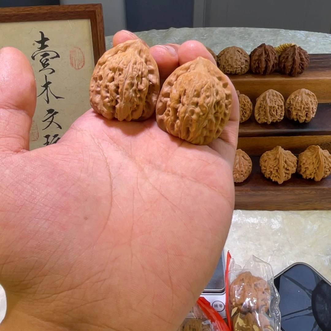 地***果大叶紫檀（黑酸枝木类）