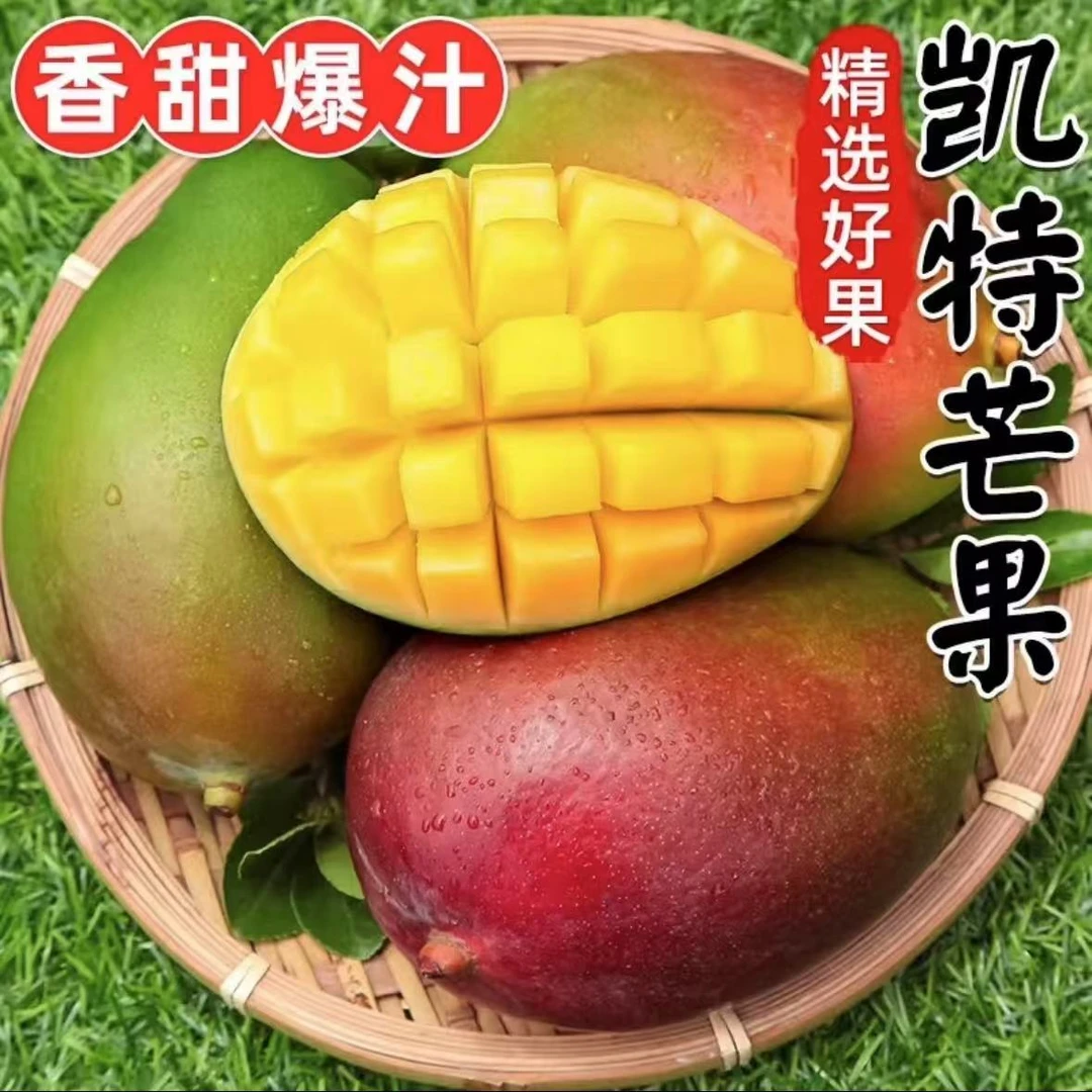 攀枝花凯特芒果现采现发当季应季水果特大号新鲜整箱