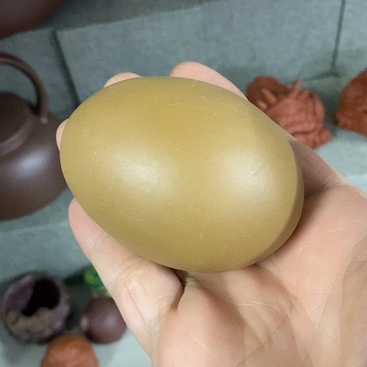 紫砂紫砂紫砂紫砂中