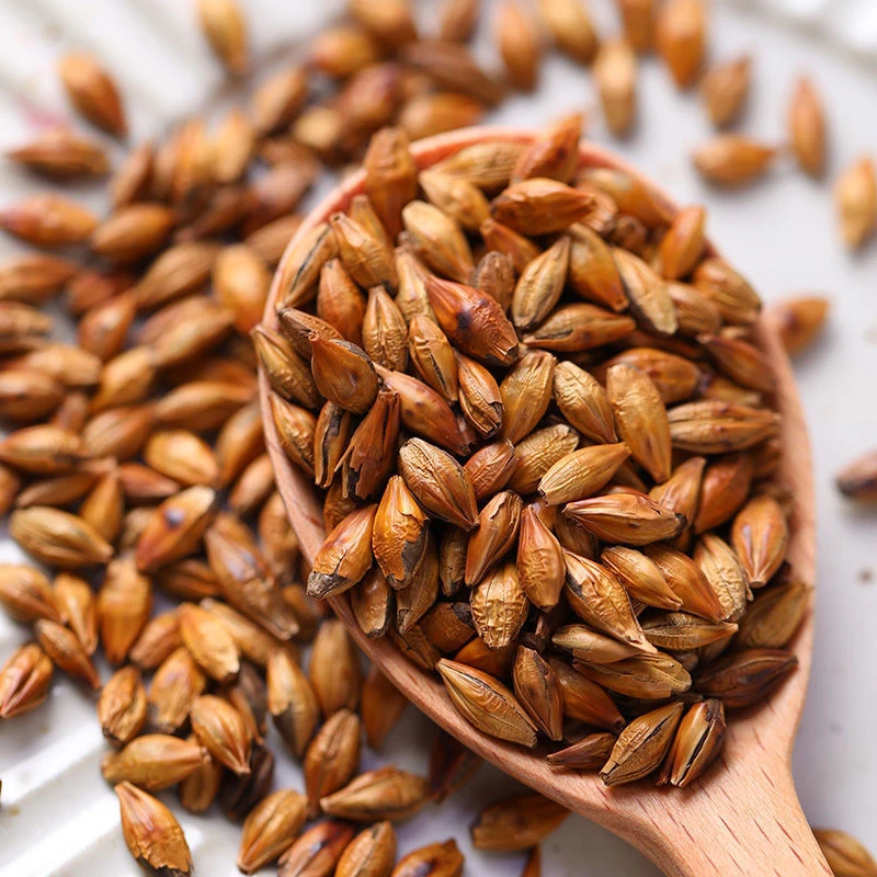 炒麦芽500克安徽农家种植炒麦芽1000克可搭茯苓煮水炒麦芽茯苓茶