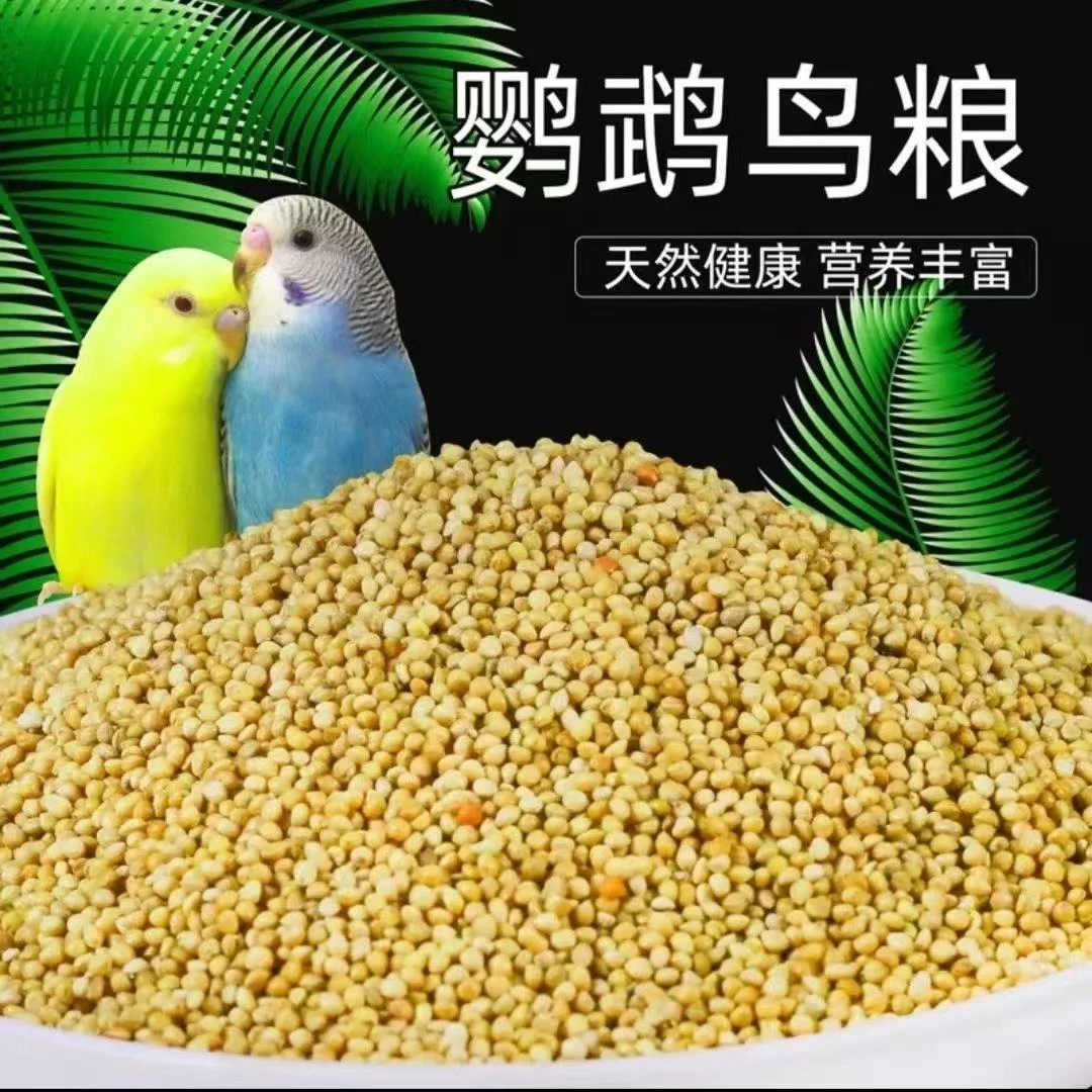 鹦鹉食粮专用新黄谷子虎皮玄凤牡丹营养鸟粮鸟食虎皮鹦鹉鸟粮