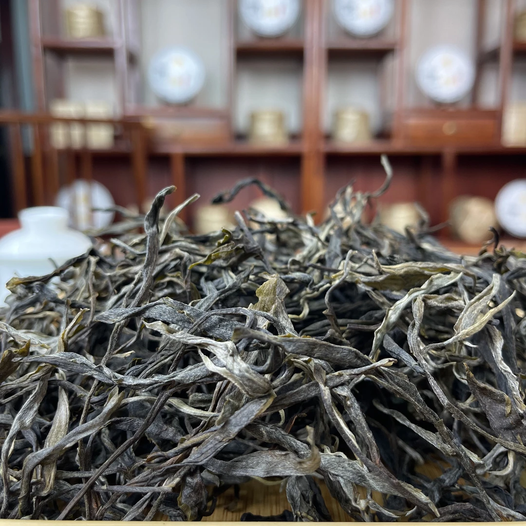 【云南老罗普洱茶】沧江 2025年乔木春茶普洱生茶 散茶