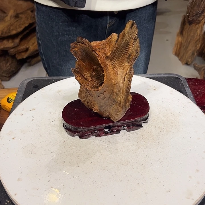 松木（琥珀木）悟****曼