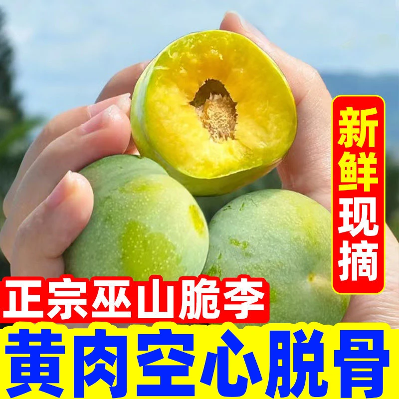 【正宗巫山脆李】重庆巫山脆李脱骨李新鲜应季水果