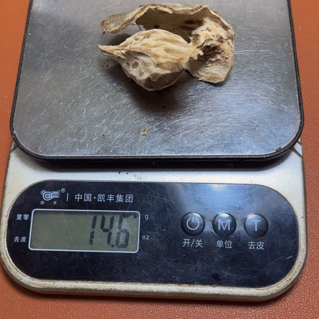 用***8沉香碎屑沉香棋楠虎斑棋14.6g