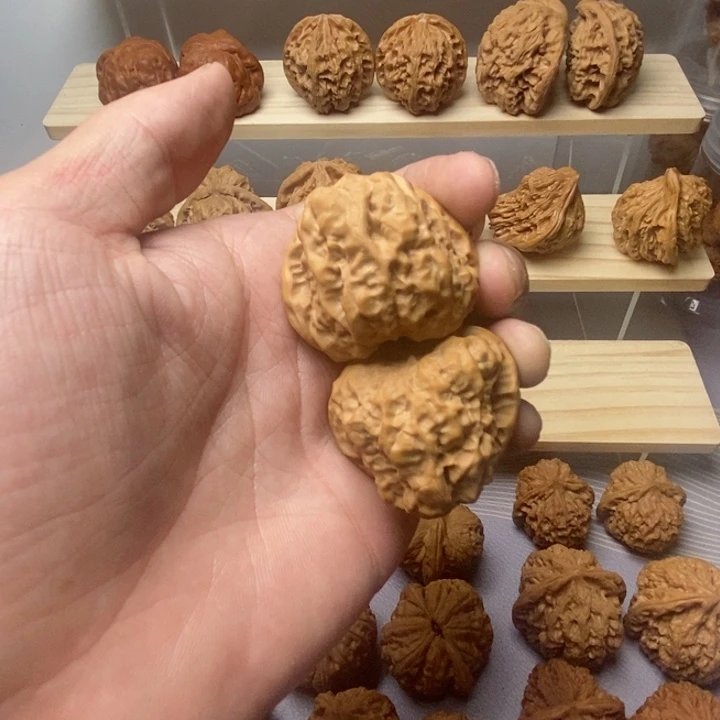 把件核桃与**同39尺三角蛙