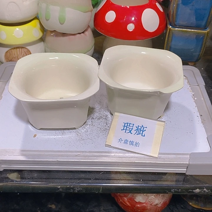 摆件多肉瑕疵盆有孔。