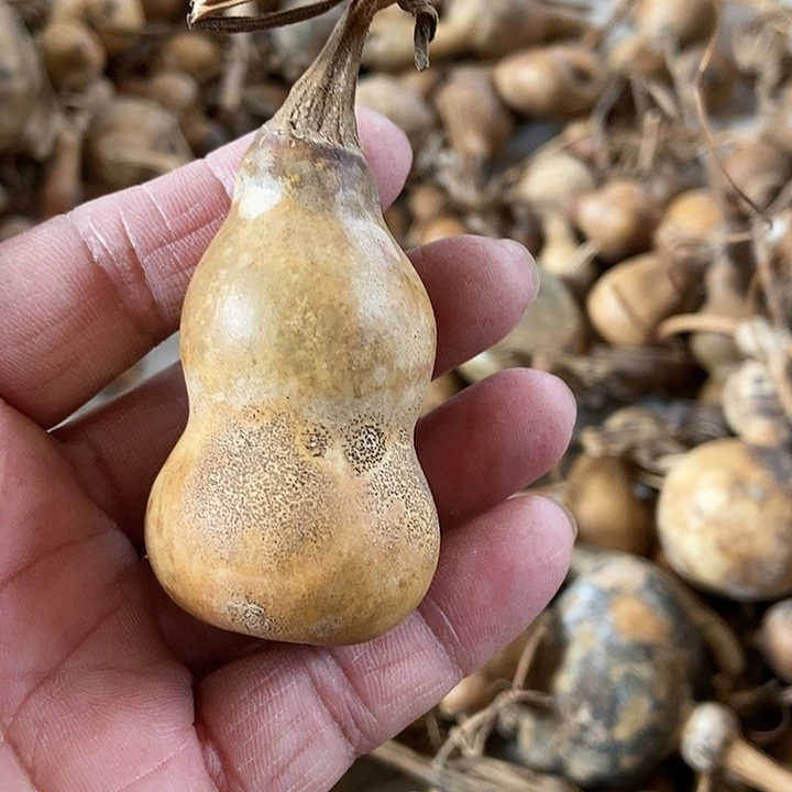 h d h d h d d b hs s