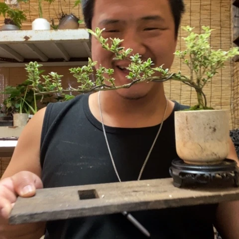 红陶渔**水一物一拍所见即所得144