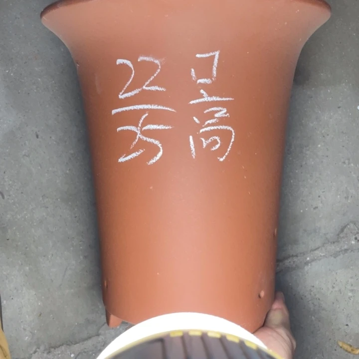 周深周深周深周深周深