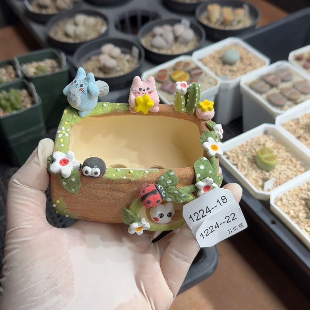 颜***.1224-022盆盆盆盆盆p