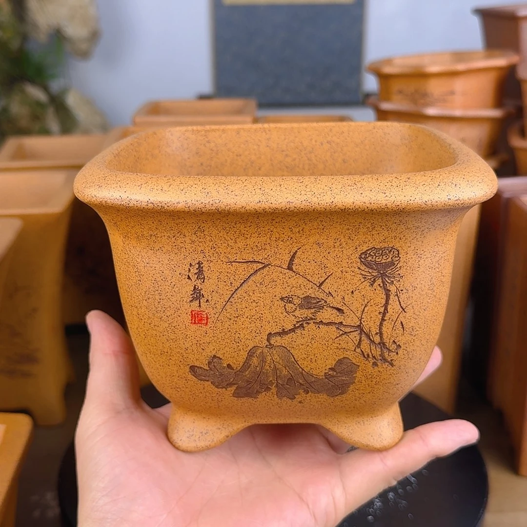 紫砂花盆華*紫砂花盆
