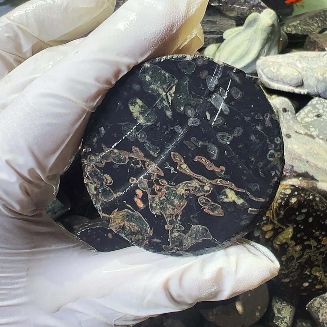 梅花玉鱼缸石茶周边不退不换