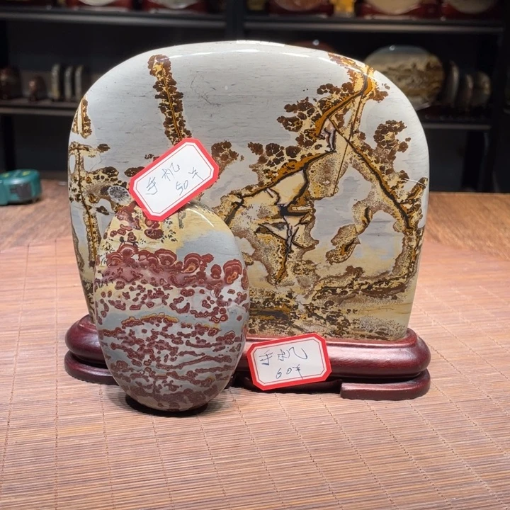 香榧木手****✨广西柳州国画石