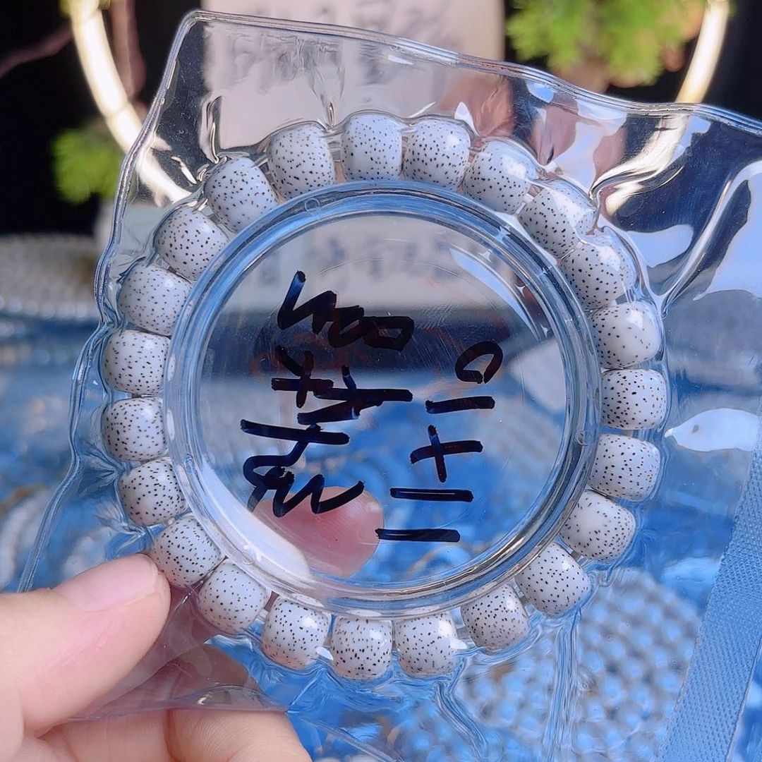 天***公吊坠菩提根/象牙果星月