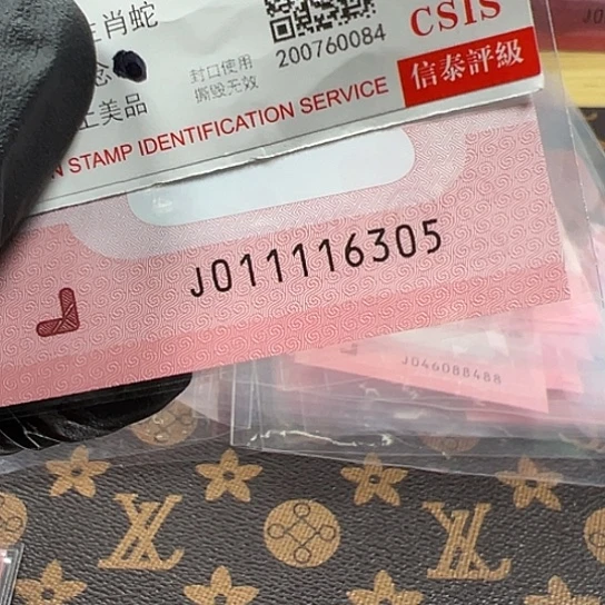 J011116305单张简易封装蛇