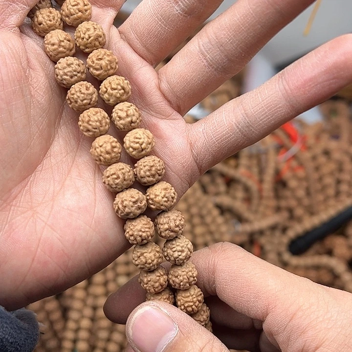 金刚菩提手串蛤蟆背10左右2条