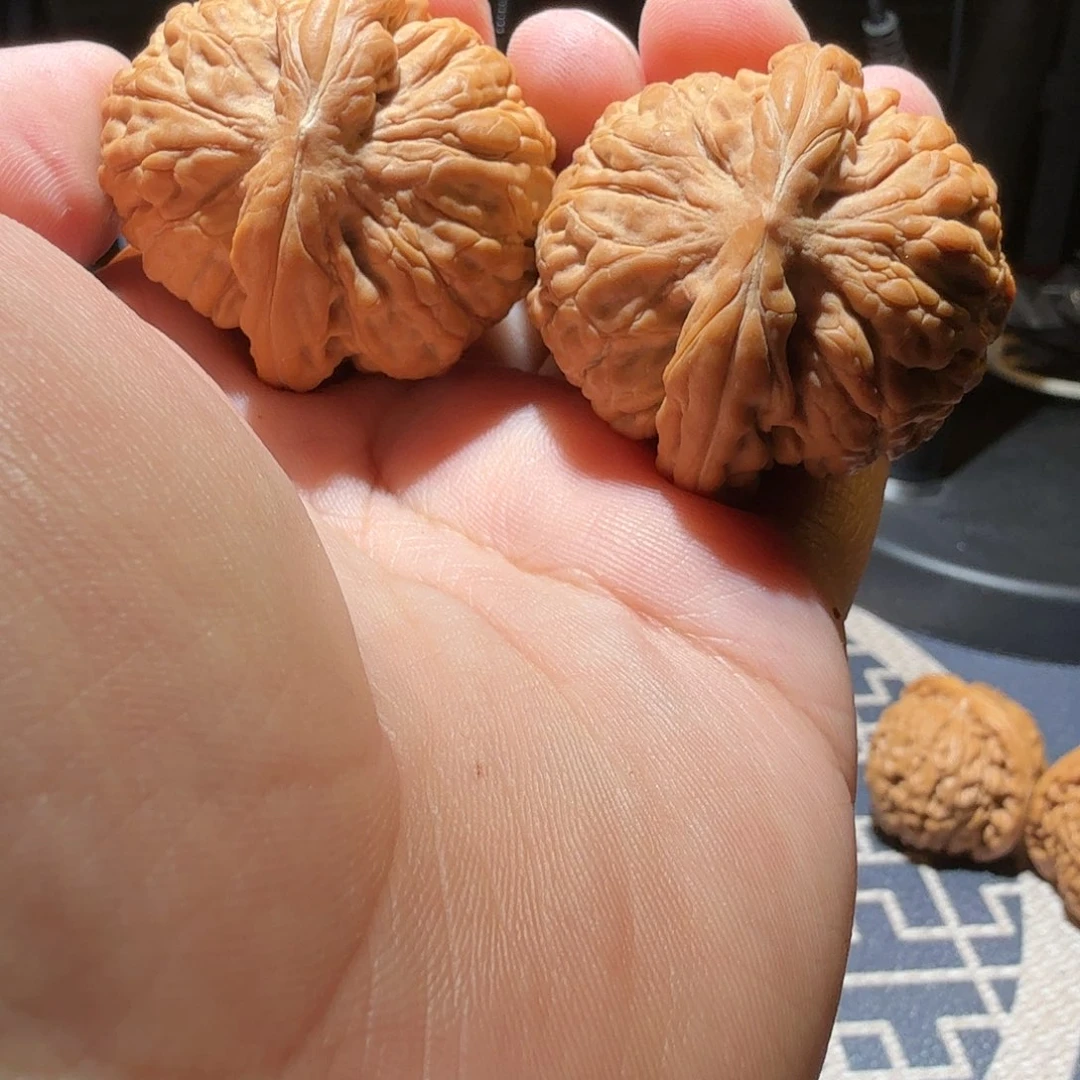 文玩核桃把件莲花