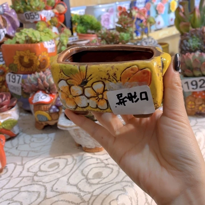 多肉花盆满15包邮