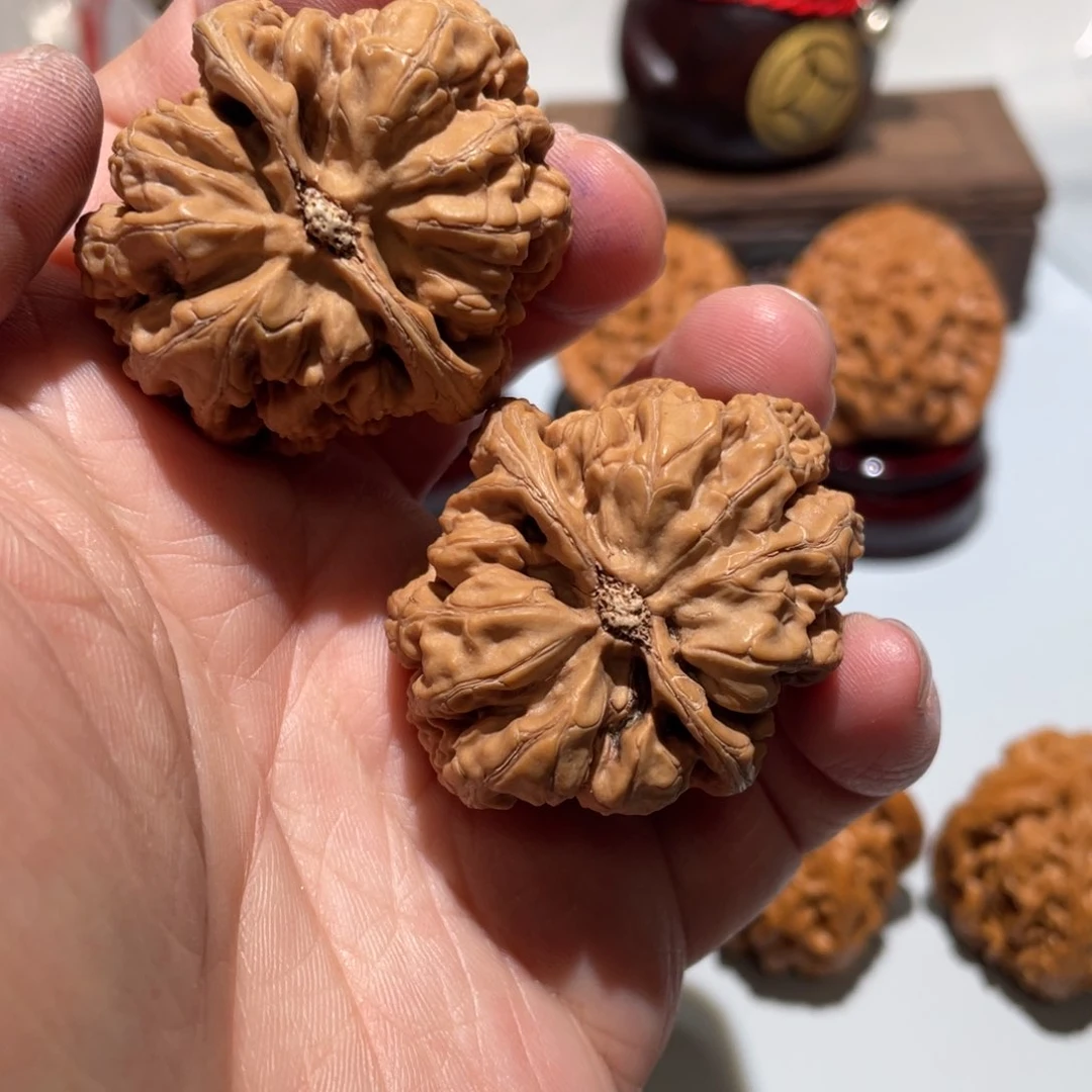 文玩核桃把件大粗筋37.5全品