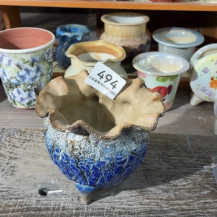 瑕疵花盆花盆花盆花盆