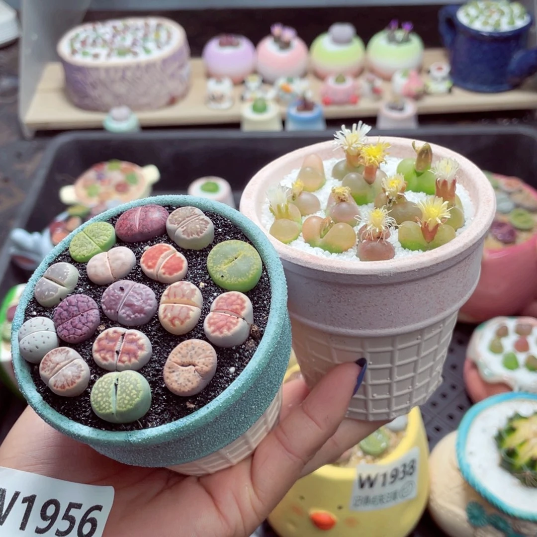 零下地区拍温箱w1956