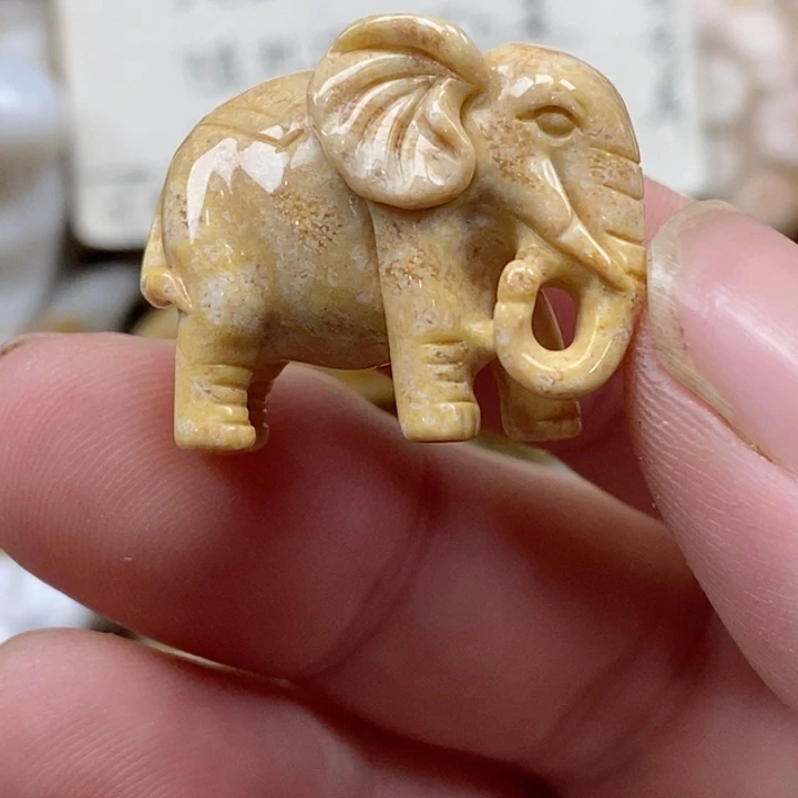 颈饰未镶嵌硅化珊瑚（珊瑚玉）小