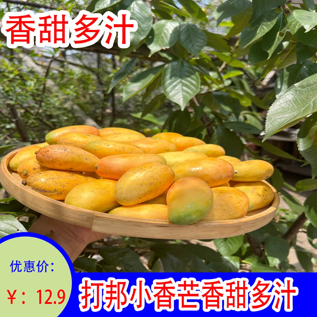 小香芒果香甜多汁