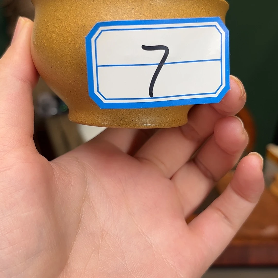 紫砂茶杯冷黄金杯子