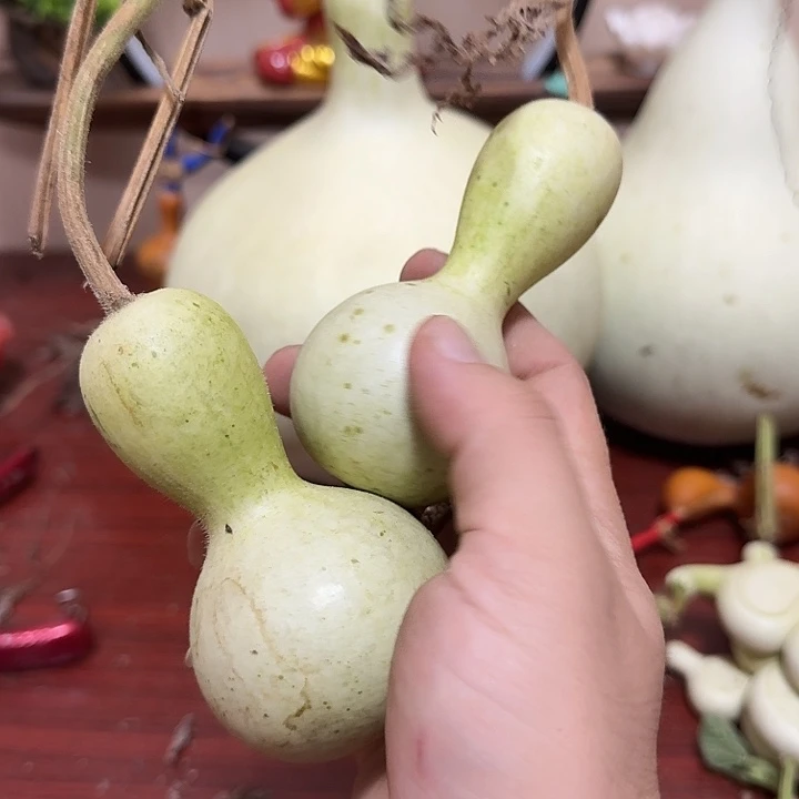 s***egggferghcxxcbnmm