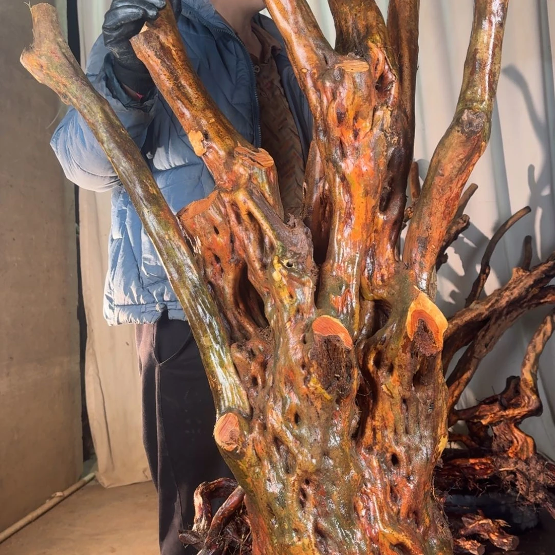 爱***姐888888888888888888