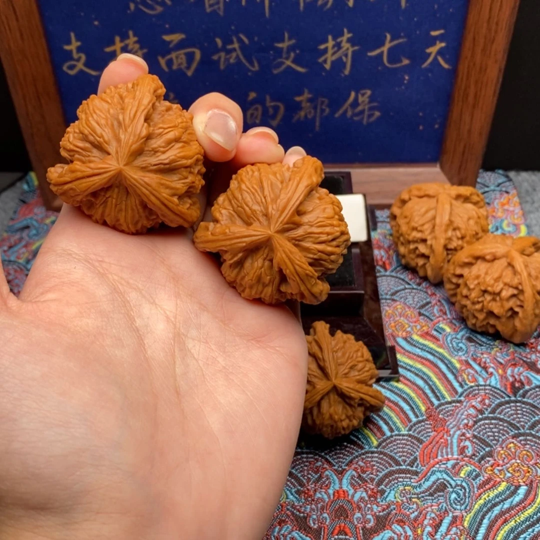 【闪购商品】C****餮白狮