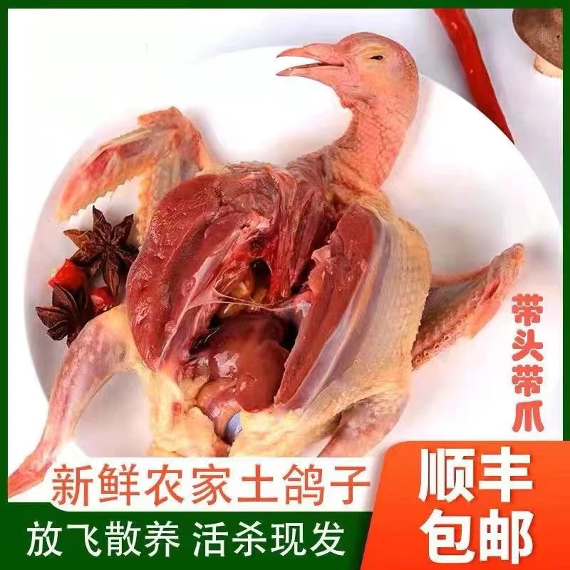 【送人参】7-8两/只散养新鲜宰杀鸽子肉乳鸽【冰鲜发货】【顺丰京东】