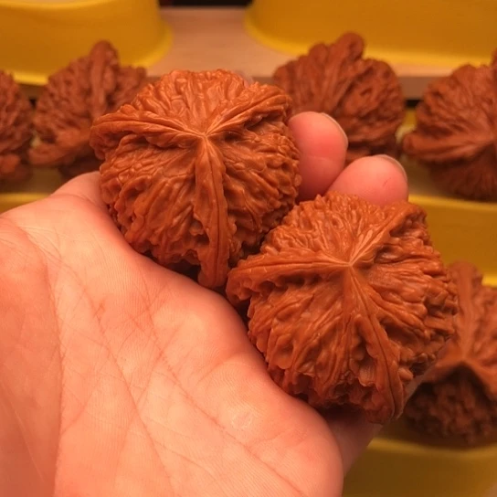 华***仔核桃核桃核桃核桃核桃核桃
