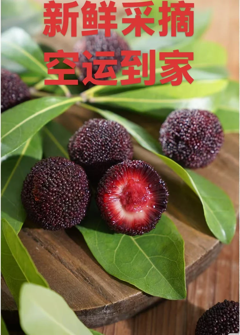 颗粒装 精品果(EMS空运)云南高山杨梅新鲜采摘