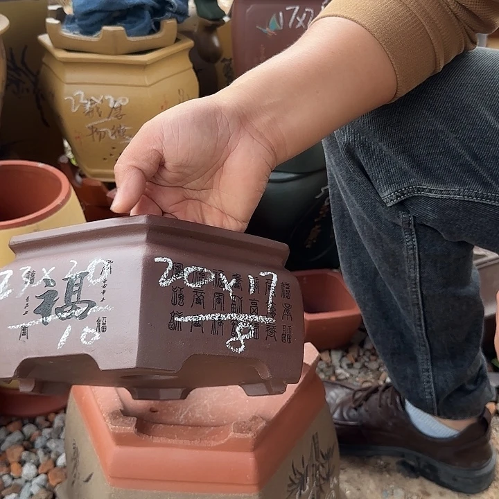 紫砂花盆紫砂花盆