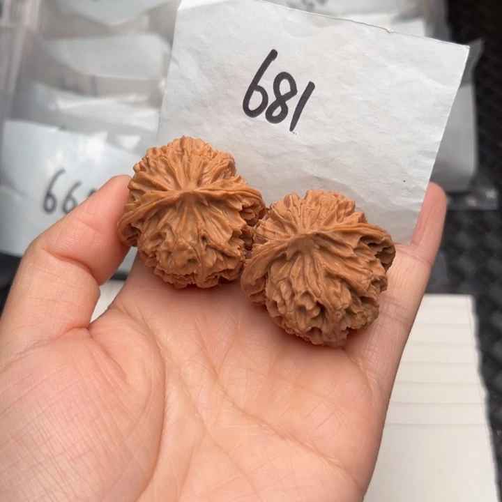 核桃38+尺寸苹果园