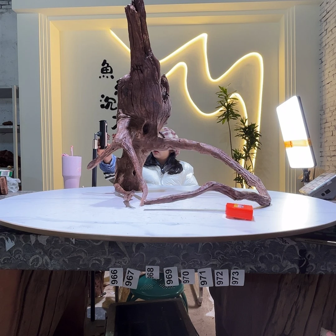 瓦当会黄黑红水73 51 71