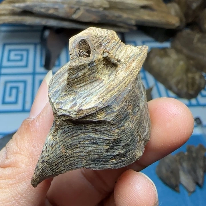 木质海南虎斑老料3克