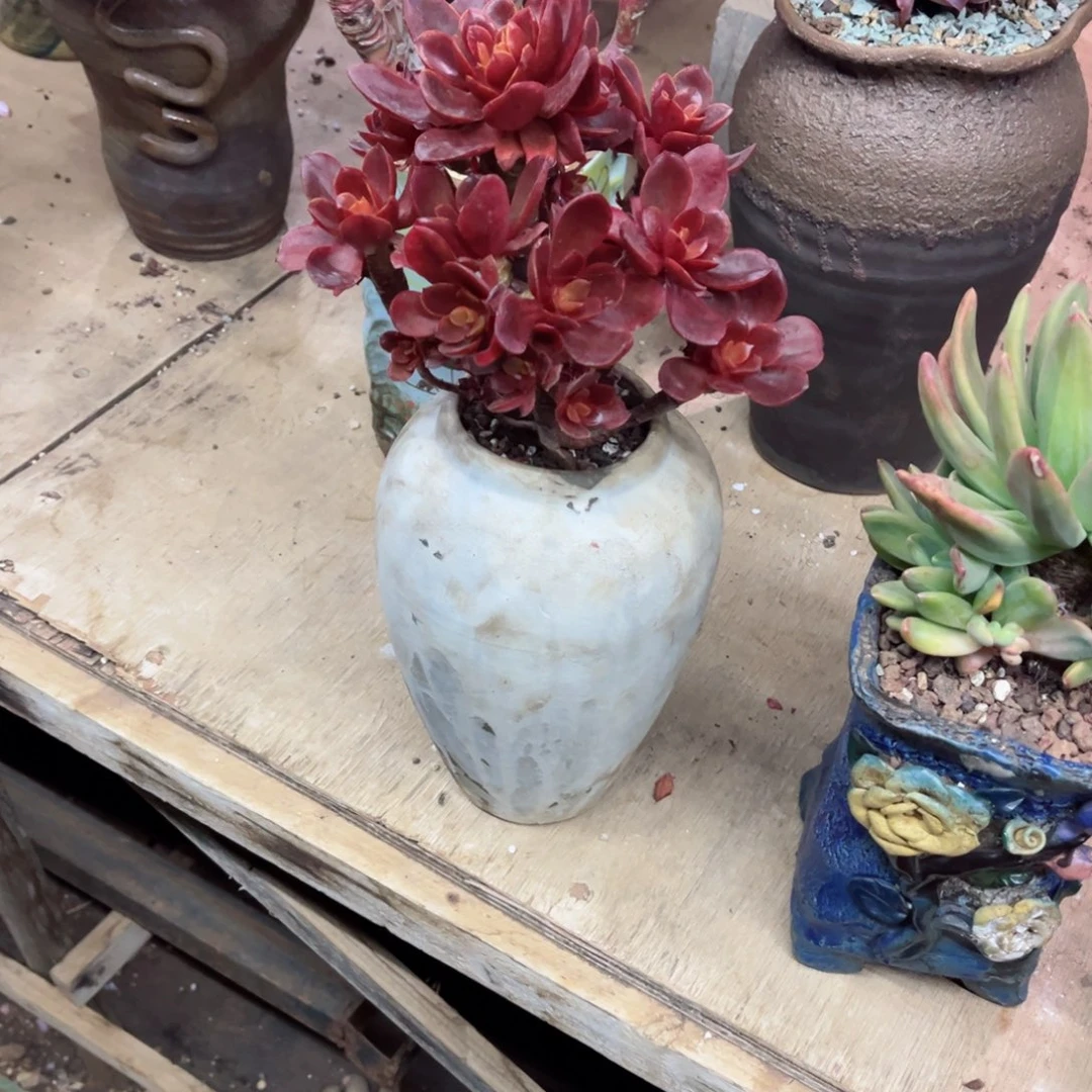 你是否还记得你曾经说的