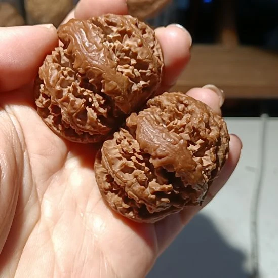 文玩核桃把件66666666666