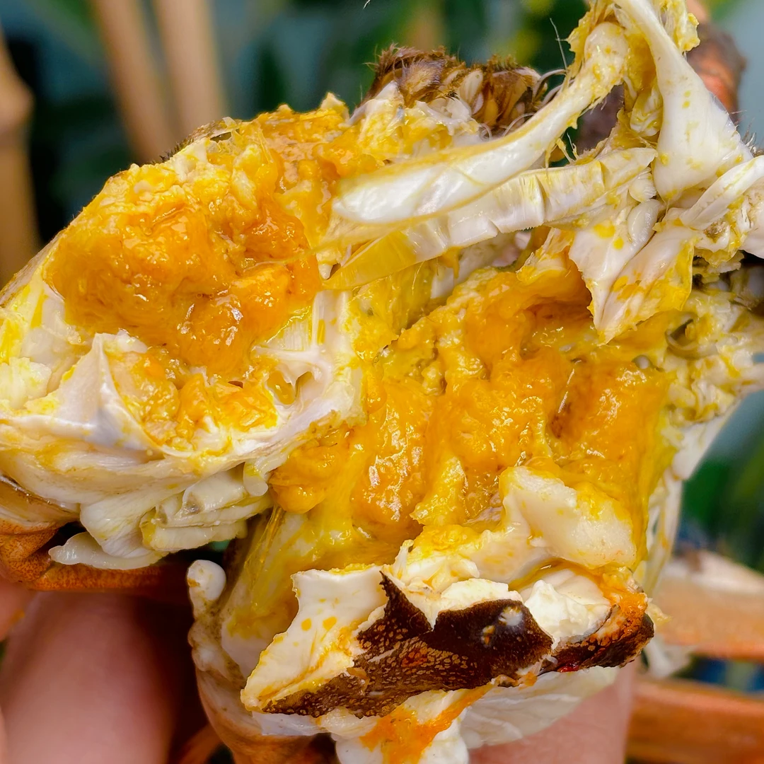 【活蟹】河蟹全公蟹2.0两起精品河蟹鲜活公蟹8只