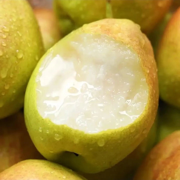 新疆库尔勒香梨一箱约3-4斤新鲜应季水果水果批发整箱产地直发软糯香甜水果礼盒水果整箱家庭装新鲜水果