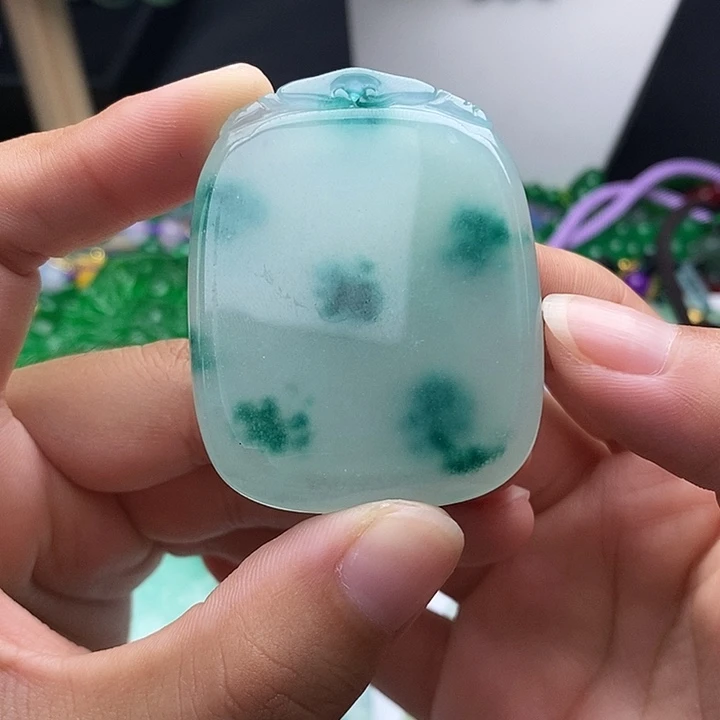 翡翠未镶嵌颈饰所见即所得 233