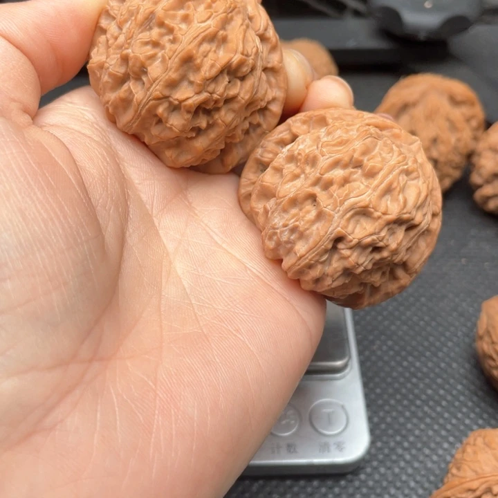 核桃手串/手链l**e白狮子43尺全品无修